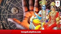 লক্ষ্মী নারায়ণ আশীর্বাদ করবেন হাত উপুর করে, যোগিনী একাদশীতেই দুর্দশা দূর হবে ৫ রাশির