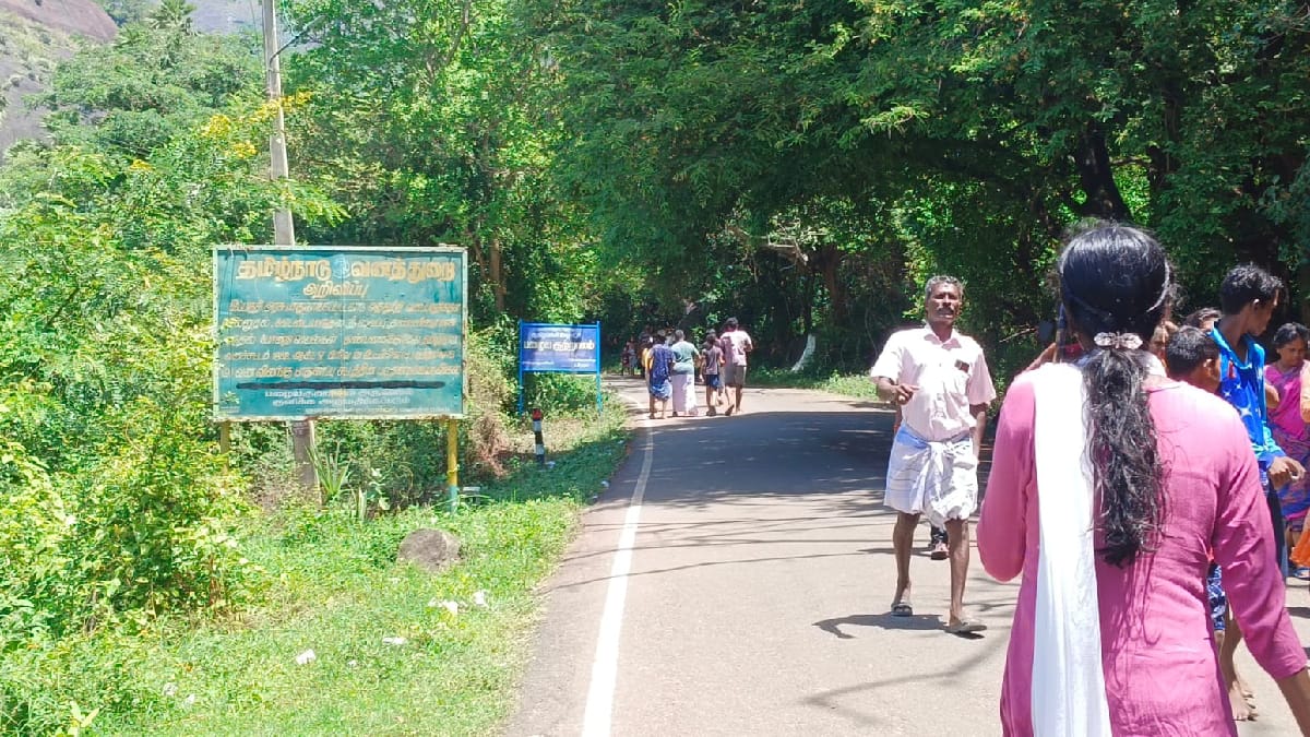 பழைய குற்றால அருவி வனத்துறை கட்டுப்பாட்டிற்குள் செல்கிறதா?- சோதனை சாவடி அமைத்துக் கொள்ள முதற்கட்ட அனுமதி