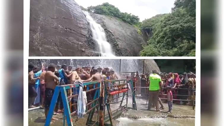 Old courtallam Falls coming under Forest Department control? Preliminary permission to set up check post - TNN பழைய குற்றால அருவி வனத்துறை கட்டுப்பாட்டிற்குள் செல்கிறதா?- சோதனை சாவடி அமைத்துக் கொள்ள முதற்கட்ட அனுமதி