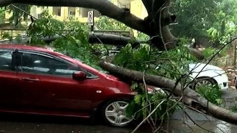 Surat Rain A tree fell in the Athwalines area in Surat Surat Rain: સુરતમાં ધોધમાર વરસાદ, વૃક્ષ ધરાશાયી થતાં બે કાર દબાઈ