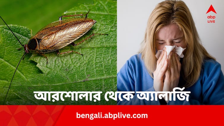 Cockroach Allergy Signs Cause Prevention Remedies All One Need To Know Cockroach Allergy: ঘন ঘন অ্যালার্জি ? আরশোলার কারণে নয়তো ? কীভাবে সুস্থ রাখবেন নিজেকে ?