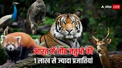 भारत में सभी जीव जंतुओं की बनाई गई लिस्ट, एक लाख से भी ज्यादा प्रजातियां है मौजूद