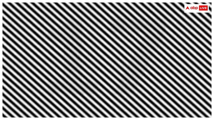 तस्वीर में जो अंक छिपा है, वह 17 है. अब आप भी इसे अपने दोस्तों और मिलने वालों के साथ शेयर कीजिए.