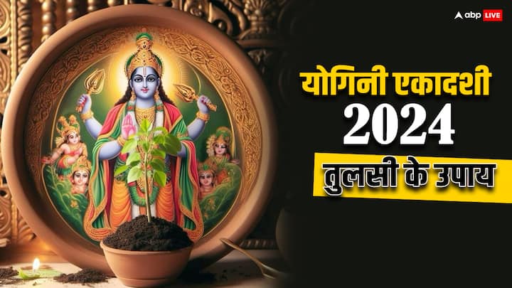 Yogini Ekadashi 2024: आज 2 जुलाई 2024 को आषाढ़ कृष्ण पक्ष की एकादशी है. इसे योगिनी एकादशी कहा जाता है, जोकि भगवान विष्णु को समर्पित है. लेकिन आज तुलसी (Tulsi) के कुछ उपायों से आपकी किस्मत चमक जाएगी.