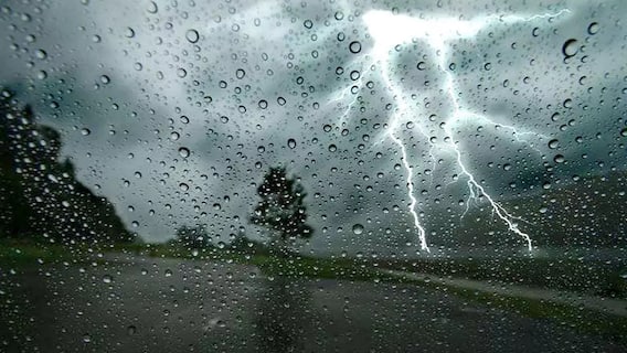 Gujarat Rain: આગામી 3 કલાકમાં ગુજરાતમાં થશે જળબંબાકાર, આ 20થી વધુ જિલ્લામાં ભારે વરસાદની આગાહી Gujarat Rain: આગામી 3 કલાકમાં ગુજરાતમાં થશે જળબંબાકાર, આ 20થી વધુ જિલ્લામાં ભારે વરસાદની આગાહી