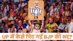 Lok Sabha Elections 2024: UP में क्यों डूब गई BJP की 'नैया'? CSDS के प्रोफेसर ने गिना दिए सारे कारण