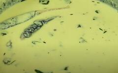 Mor Kulambu : சுவையான பூசணிக்காய் மோர் குழம்பு செய்வது எப்படி?