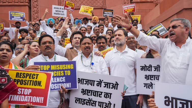 Sanjay Singh questions to BJP on CM Arvind Kejriwal arrest  Delhi Excise policy AAP protest  सीएम केजरीवाल की गिरफ्तारी के खिलाफ संसद परिसर में 'इंडिया' के नेताओं का प्रदर्शन, राहुल गांधी भी रहे मौजूद