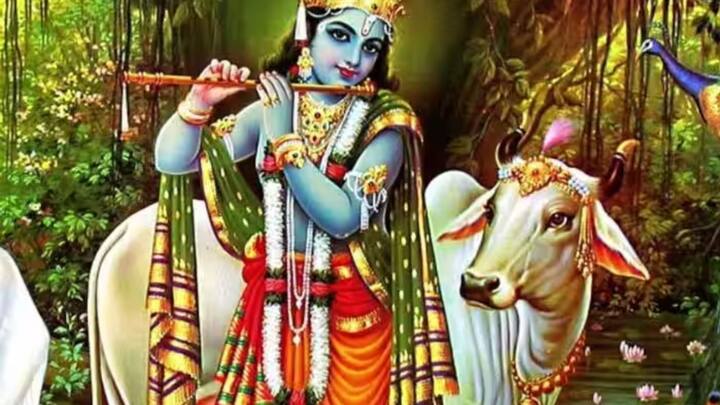 হিন্দু ধর্মাবলম্বীদের বিশ্বাস, যাঁরা দীর্ঘকালীন রোগে ভুগছেন, বা যাঁদের প্রিয়জন স্বাস্থ্য সঙ্কটে আছেন, তাঁদের এই একাদশী পালনের পরামর্শ দেওয়া হয়।  এই একাদশী পালনে শরীরের যাবতীয় ব্যাধি নাশ হয়।