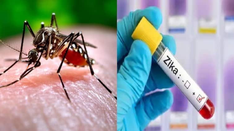 six zika virus cases reported in pune and two are pregnant women latest updates Zika Virus: పుణెలో జికా వైరస్ కలకలం - ఆరుగురికి పాజిటివ్ నిర్ధారణ, రోగుల్లో ఇద్దరు గర్భిణులు