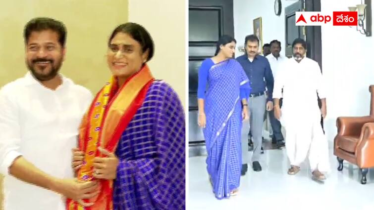 Sharmila Invited Revanth and Bhatti Vikramarka   to YS Jayanti to be held in Vijayawada Sharmila : విజయవాడలో వైఎస్ 75వ జయంతి కార్యక్రమం - రేవంత్ రెడ్డి, భట్టి విక్రమార్కలకు షర్మిల ఆహ్వానం