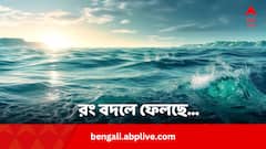 নীল সমুদ্রও ধীরে ধীরে বদলে ফেলছে রং, নেপথ্যের কারণ জানাল‌ NASA