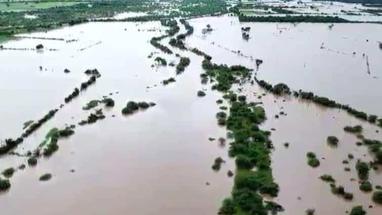 Junagadh Manavdar taluka of Junagadh district has received the highest rainfall of 16 inches Junagadh: જૂનાગઢના તમામ તાલુકામાં જળબંબાકાર, ખેતરો બેટમાં ફેરવાયા