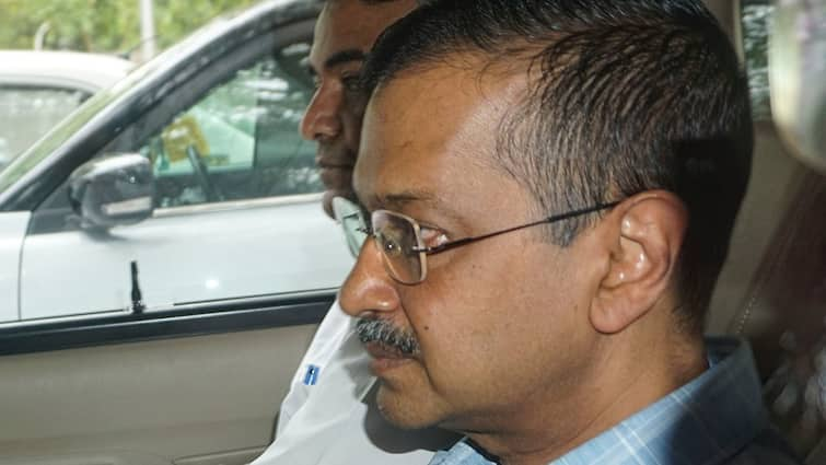 Arvind Kejriwal News Court rejects AAP Chief and Delhi CM plea seeking two additional meetings with lawyers Arvind Kejriwal News: 'अर्जी मंजूर करने का कोई कारण नहीं दिखता', CM अरविंद केजरीवाल की इस मांग को कोर्ट ने किया खारिज