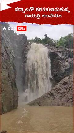 వర్షాలతో కళకళలాడుతున్న గాయత్రి జలపాతం