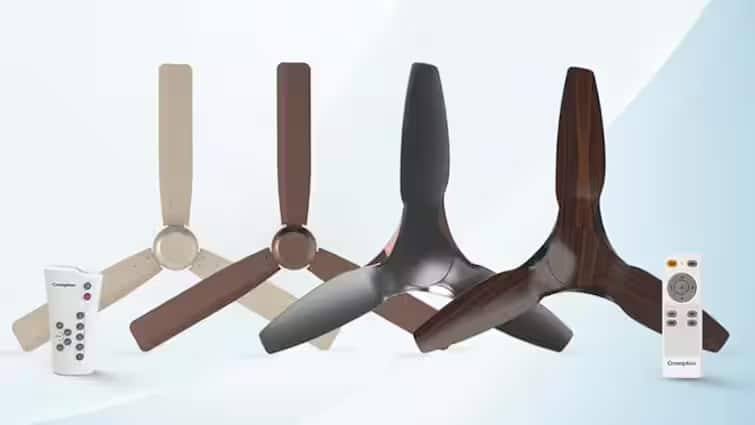 amazon sale 2024 biggest offer on ceiling fans polycab bajaj v guard bajaj frore read article in Gujarati તમારા રૂમને આ સિલગ ફેન દ્વારા રાખો કુલ, અહિયાં ધમાકેદાર ઓફરમાં મળી રહ્યા છે ખૂબ સસ્તા