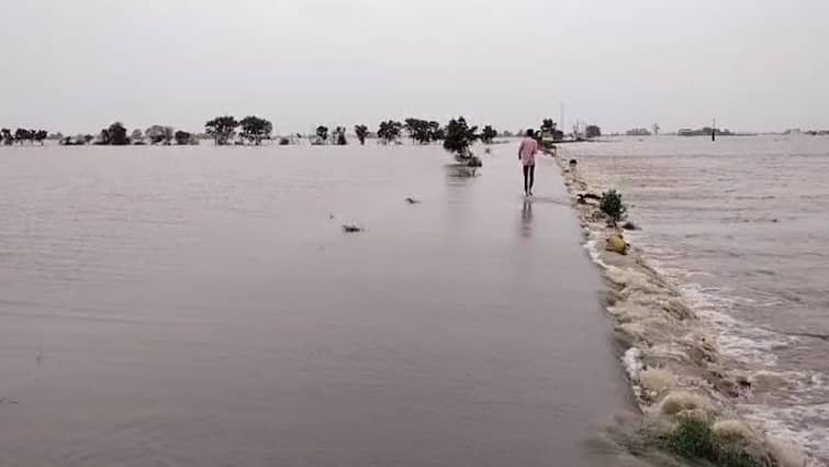 The Meteorological Department had predicted heavy rain in the state for five days Rain forecast: રાજ્યમાં હજુ પણ પાંચ દિવસ ભારે વરસાદની આગાહી, આ જિલ્લાઓમાં અપાયું રેડ એલર્ટ