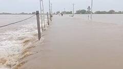 Junagadh Rain: ઘેડ પંથક બેટમાં ફેરવાયો, ધોધમાર વરસાદથી લોકો બેહાલ, ઘરમાં પાણી ભરાયા, જુઓ તસવીરો