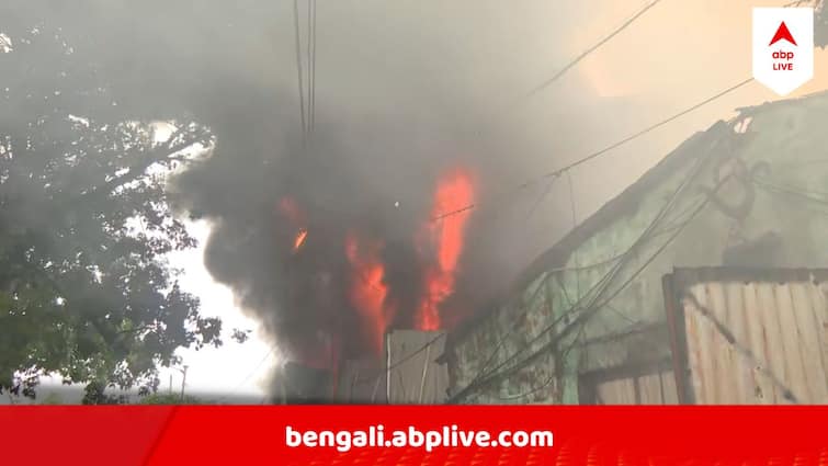 Kolkata Dhapa Mathpukur Factory Fire Firefighters In Action Panic Gripped Kolkata Fire : ধাপার মাঠপুকুরে ইঞ্জিন অয়েল কারখানায় ভয়াবহ অগ্নিকাণ্ড, এলাকা ঢেকেছে কালো ধোঁয়ায়
