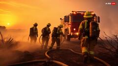 क्या है नेशनल वाइल्डलैंड फायर फाइटर डे? जानें इसका इतिहास और महत्त्व