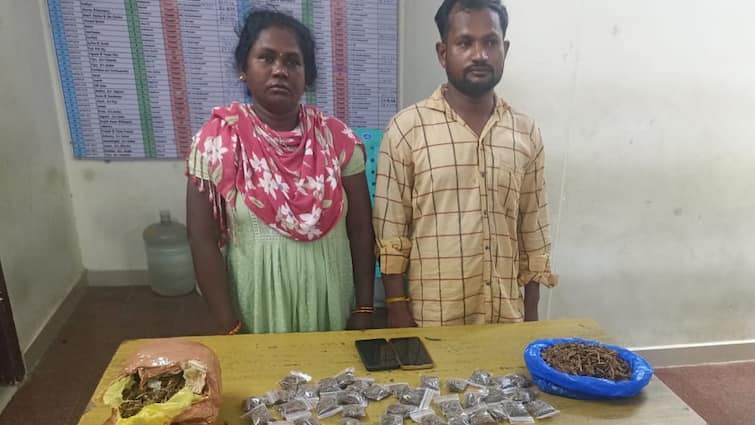 Chennai crime husband and wife were arrested for selling ganja in Chrompet area next to Tambaram tnn சென்னையில் தலை விரித்தாடும் கஞ்சா.. குடும்பத்துடன் கஞ்சா விற்பனை.. கட்டுக்கட்டாக சிக்கிய கஞ்சா பொட்டலம்