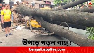 Kolkata News: ঝড়, বৃষ্টি ছাড়াই ব্যস্ত হরিশ মুখার্জি রোডে ট্যাক্সির ওপর উপড়ে পড়ল গাছ, কী ক্ষতি হল ?