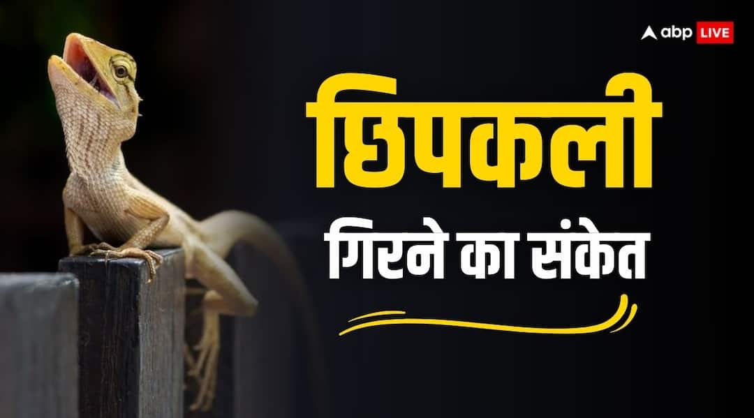 Lizard falling meaning on body according to astrology chipkali girne ka matlab Lizard Falling: छिपकली का ऊपर गिरना क्या संकेत देता है?