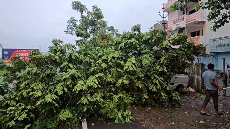 heavy rain state roads closed power disruption villages ભારે વરસાદને પગલે રાજ્યના 116 રસ્તા બંધ, 88 ગામોમાં વીજપુરવઠો ખોરવાયો