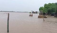 Junagadh Rain: ઘેડ પંથક બેટમાં ફેરવાયો, ધોધમાર વરસાદથી લોકો બેહાલ, ઘરમાં પાણી ભરાયા, જુઓ તસવીરો