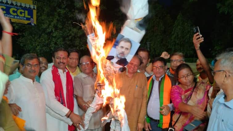 BJP protest against Rahul Gandhi statement calling Hindus violent ann हिंदुओं को हिंसक बोल निशाने पर आए राहुल गांधी, प्रयागराज में पैतृक आवास के बाहर BJP ने फूंका पुतला