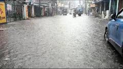 North Bengal Weather : ভাঙছে পাড়, ঢুকছে ঘরে, উত্তরবঙ্গে ভয়াল চেহারা নদীর, বিপর্যয় সামলাতে নামল সেনা