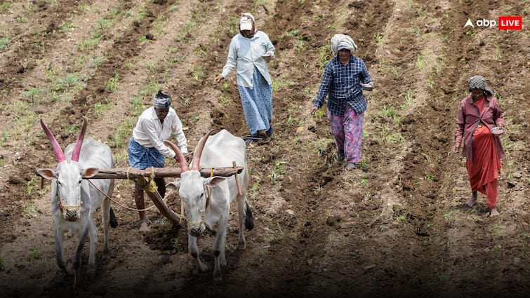 Madhya Pradesh Budget 2024 for Farmers Demand Subsidy on Krishi Yantra from CM Mohan Yadav ANN MP Budget: मध्य प्रदेश बजट में किसानों को सरकार से बड़ी उम्मीद, 'कृषि यंत्र' पर सब्सिडी बढ़ने की मांग