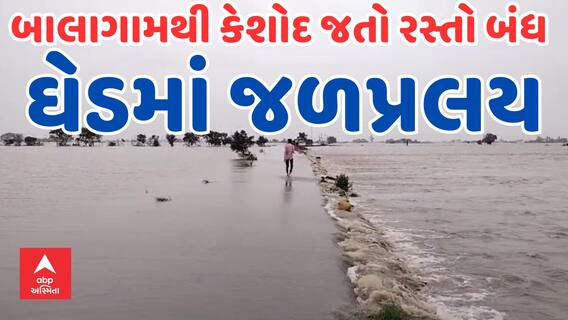 Ghed Flood Ground Report | ઘેડમાં જળપ્રલય | બાલાગામથી કેશોદ જતો રસ્તો બંધ