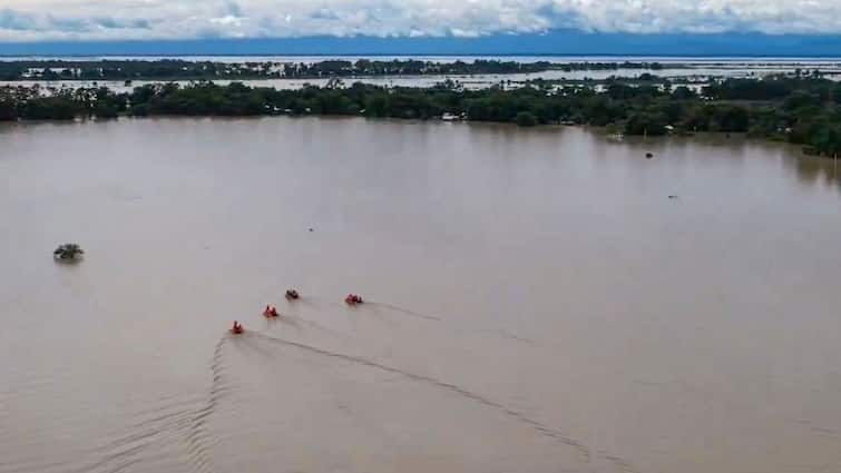 Assam Floods Around 6 Lakh People Hit Kaziranga National Park Heavy Rains Forecasted Top Points Assam Battles Severe Floods: 6 Lakh Affected, Kaziranga National Park At Risk — Top Points