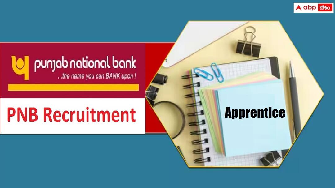 Punjab National Bank has released notification for the recruitment of Apprentice Posts PNB Recruiltment: పంజాబ్ నేషనల్ బ్యాంకులో 2,700 అప్రెంటిస్ పోస్టులు- ఈ అర్హతలుండాలి