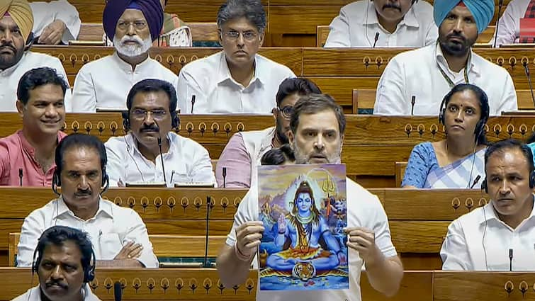 Parts Of Rahul Gandhis Speech In Lok Sabha On Hindus, BJP Expunged Parts Of Rahul Gandhi's Speech In Lok Sabha On Hindus, BJP Expunged