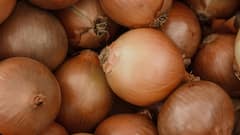 Onion Juice: চুল পড়ার সমস্যা কমায়, নতুন চুল গজাতেও সাহায্য করে, পেঁয়াজের রসে আর কী কী গুণ রয়েছে?