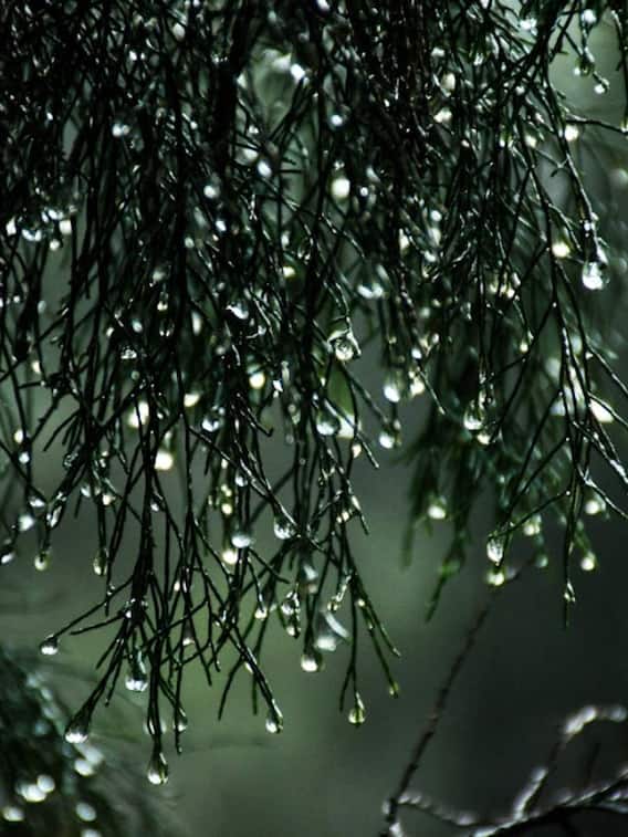 ਬਾਰਿਸ਼ ਲਈ ਰੈੱਡ ਅਲਰਟ ਕਦੋਂ ਜਾਰੀ ਕੀਤਾ ਜਾਂਦਾ ਹੈ?