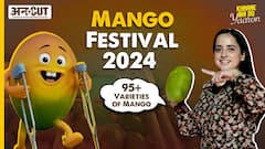 Mango Festival 2024 | 95+ Varieties of Mango | WorldMark Gurgaon | Khaane Bhi Do Yaaron |