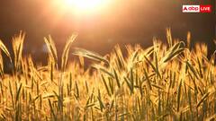 यहां किसान भाई ऑनलाइन बेच सकते हैं उपज, यहां करें तुरंत अप्लाई