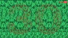 इस तस्वीर को देखते ही आने लगेंगे चक्कर, अंदर छिपा नंबर दिख गया तो आंखें नहीं करानी होंगी चेक