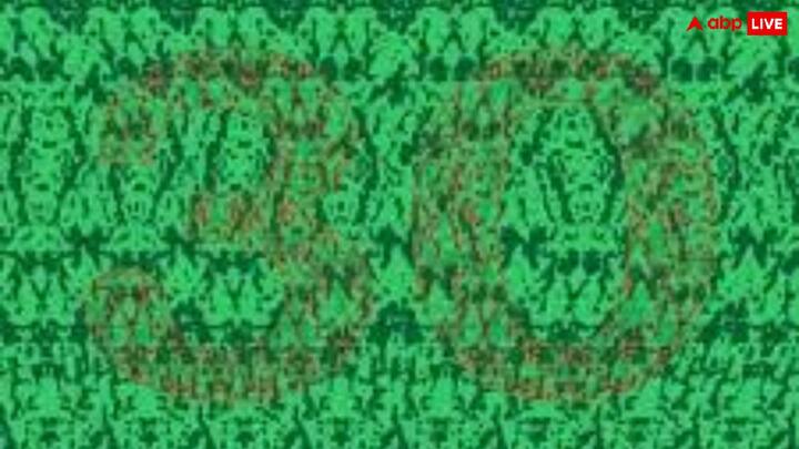 इस तस्वीर के सवाल को हल करने का तरीका ये है कि आप इसे ध्यान से देखें. इस तस्वीर में छिपे नंबर पर ध्यान लगाने की कोशिश करें. जैसे ही आप ध्यान लगाएंगे आपको इसमें छिपा नंबर दिखाई देने लगेगा.