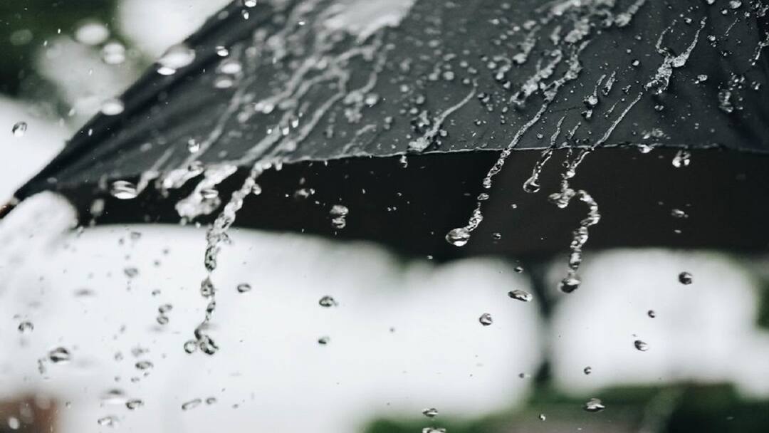 Weather Latest Update: నేడు తెలుగు రాష్ట్రాల్లో స్వల్ప వర్ష సూచన, నేటి వర్షాలు అప్డేట్ ఇదీ Weather in Telangana Andhra Pradesh Hyderabad on 4 July 2024 Rains updates latest news here Weather Latest Update: నేడు తెలుగు రాష్ట్రాల్లో స్వల్ప వర్ష సూచన, నేటి వర్షాలు అప్డేట్ ఇదీ