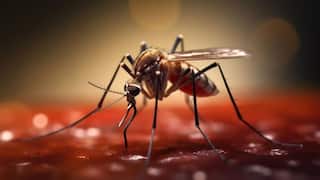 Zika virus:உஷார்! அதிவேகமாக பரவும் ஜிகா வைரஸ்: மாநிலங்களுக்கு மத்திய அரசு எச்சரிக்கை!