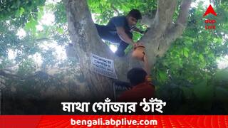 North 24 Parganas: গাছে কলসি ঝুলিয়ে বাসা উপহার, পাখিদের নীড়ে ফেরার বন্দোবস্ত স্বেচ্ছাসেবী সংগঠনের
