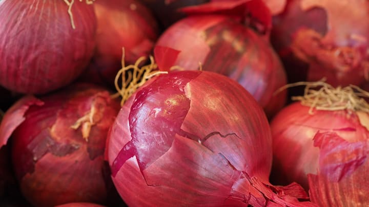 Onion Farming: किसान भाई प्याज की अच्छी पैदावर के लिए यहां बताई गई बातों का दिन रखें. इन बातों को अपनाकर किसानों को अच्छा मुनाफा प्राप्त कर सकते हैं.