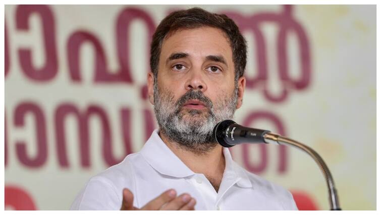 राहुल गांधी ने इंडिया गठबंधन को लेकर कर दी नई भविष्यवाणी, बोले- 'मैं फिर कह रहा हूं...'