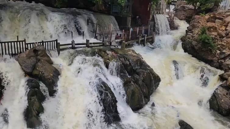 Hogenakkal river water inflow increase 3000 Tourists and massage workers are happy - TNN ஒகேனக்கல்லில் நீர்வரத்து அதிகரிப்பு - சுற்றுலா பயணிகளும், மசாஜ் தொழிலாளர்களும் மகிழ்ச்சி