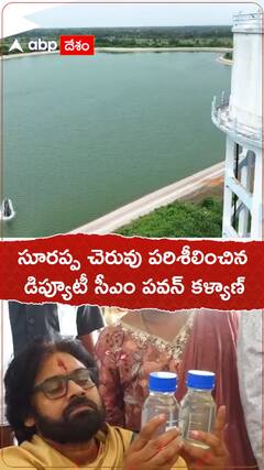 సూరప్ప చెరువు పరిశీలించిన పవన్ కళ్యాణ్