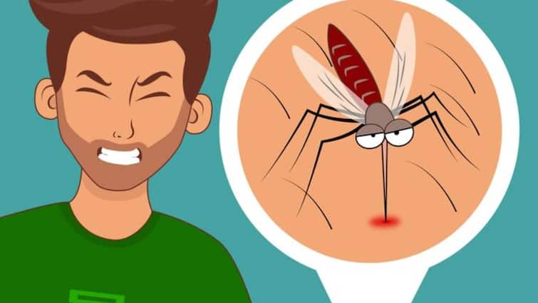 Zika Virus Cases in Maharashtra Union Health Ministry issues advisory To States Zika Virus Cases: पुणे के बाद महाराष्ट्र में पैर पसार रहा है जीका वायरस, सरकार ने जारी की एडवाइजरी
